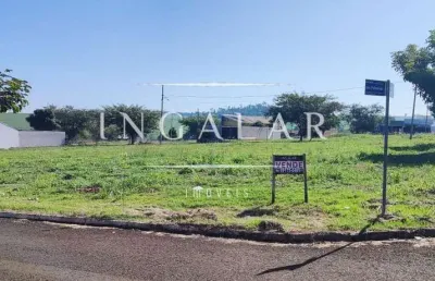 Terreno comercial para venda em floresta, nova floresta i