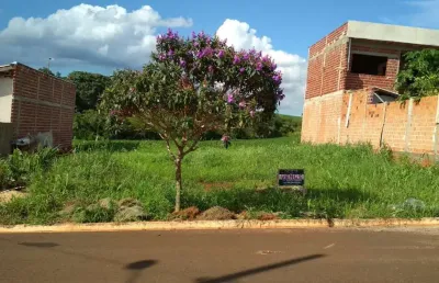 Terreno à venda na Rua Pioneiro Christovam Garcia, Jardim Nova Floresta, Floresta