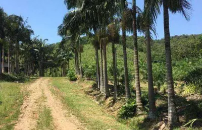 Fazenda com à venda, 4822600 m² por r$ 7.900.000 - área rural - morretes/pr