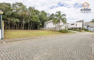 Terreno à venda, 575 m² por r$ 1.290.000,00 - butiatuvinha - curitiba/pr