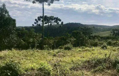 Chácara à venda, 20000 m² por r$ 200.000,00 - centro - bocaiúva do sul/pr