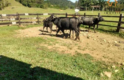 Fazenda à venda, 4300000 m² por r$ 3.000.000,00 - tagaçaba de cima - guaraqueçaba/pr