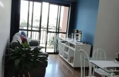 Apartamento com 3 quartos à venda, ponte de são joão - jundiaí