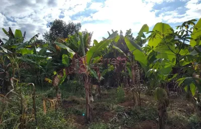 Terreno à venda na Avenida Archangelo Sibinel, Acesso Para Terreno Rua De Terra Final Da Rua, --, Caxambu, Jundiaí
