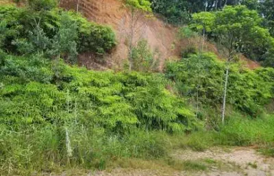 Terreno à venda no Águas Claras, Brusque 
