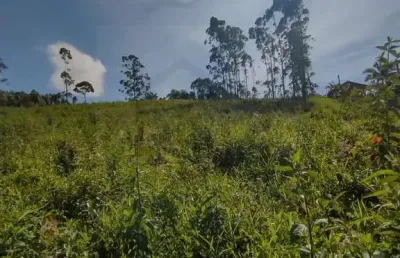Terreno à venda no Limoeiro, Itajaí 