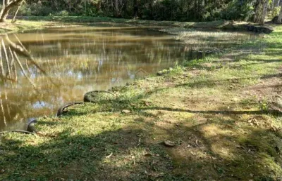 Vendo linda chacára no cipó, com 43 mil m², 3 dormitórios e 1 suíte excelente!