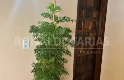 Aprtamento a venda senda sendo 2 quartos , 1 vaga  no parque das naçoes grajau