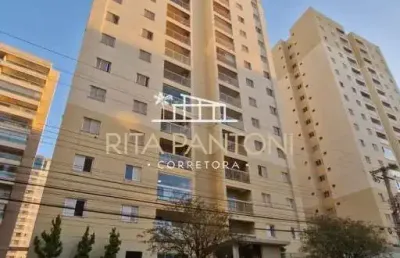 Apartamento - ribeirão preto - nova aliança - região sul