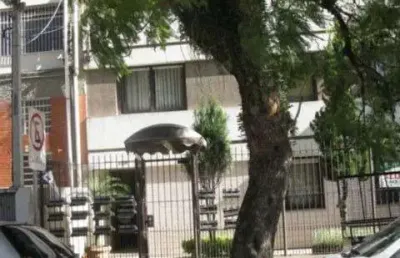 Apartamento com 2 quartos à venda na rua augusto severo, 134, são joão, porto alegre por r$ 240.000