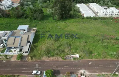 Terreno à venda no bairro fraron - loteamento universitário - te679