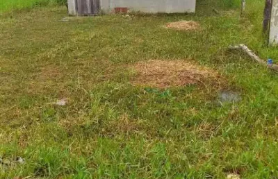 Terreno à venda na Avenida Dos Currais 82, Perequê, Matinhos
