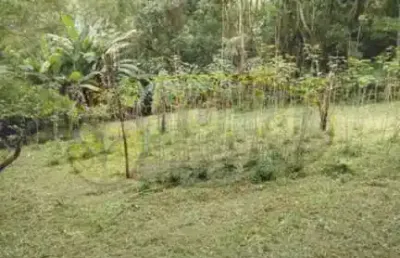 Chácara / sítio com 3 quartos à venda no Jardim Guaripocaba, Santo André 