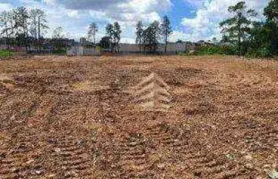 Terreno para alugar, 13000 m² por r$ 19.192,00/mês - são joão - guarulhos/sp
