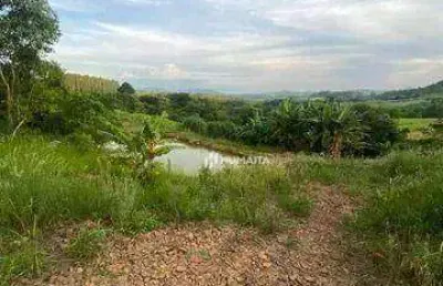 Sítio à venda, 88000 m² por r$ 1.200.000,00 - zona rural - tamarana/pr