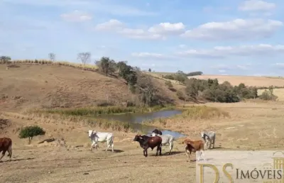 Fazenda a venda em tietê-sp com área total de 81,5 alqueires, boa topografia e próxima ao asfalto