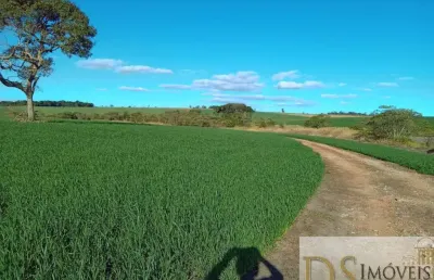 Sítio a venda na região de sorocaba-sp, com 22 alqueires, formardo em lavoura e pasto, topografia plana e semi plana, terra mista e casa com varanda