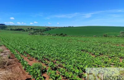 Excelente fazenda com 90 alqueires a venda em piraju-sp, topografia plana a semiplana, terra roxa e boa de água