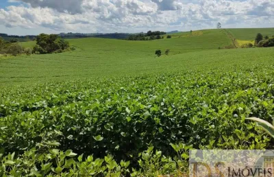 Excelente sítio a venda em são miguel arcanjo-sp, com área de 30 alqueires, sendo 20 em plantio e topografia semiplana a ondulada