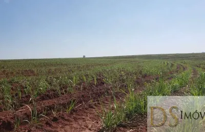 Fazenda com cana na região de são jose do rio preto-sp, área total de 71 alqueires, 53 alqueires em cana, topografia plana e semiplana