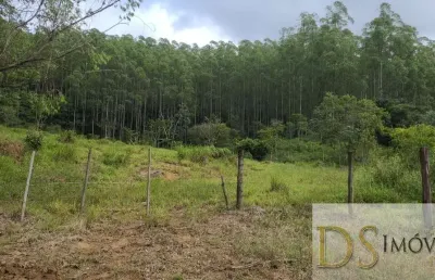 Fazenda com eucalipto na região de guaratinguetá/sp, com área total de 241,88 alqueires, ótima logistica e acesso e saida para bitrem.
