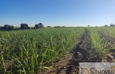 Fazenda com cana a venda na região de sorocaba-sp, com 119 alqueires, topografia semi plana e levemente ondulada