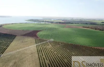 Fazenda de laranja a venda na região de votuporanga-sp, com área total de 65,42 alqueires, topografia plana, rica em água e com benfeitorias