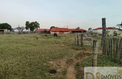 Excelente sítio de 12,7 alqueires em itapetininga/sp: investimento ideal para haras, lavoura ou gado