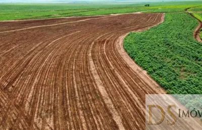 Fazenda de 223 alqueires em presidente epitácio-sp: oportunidade de investimento única!