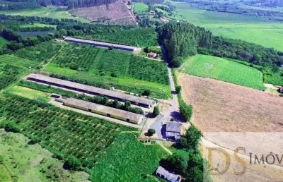 Sítio com granja a venda na região de sorocaba/sp: 6,5 alqueires de área com aviários e ótima logística