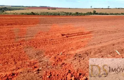 Excelente fazenda em cana à venda em presidente prudente/sp: 1.275 alqueires de oportunidade