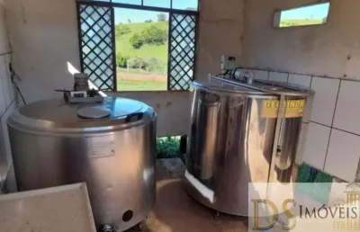 Sítio com leiteira à venda em itapetininga/sp: 31 alqueires, estrutura completa, produção diária de 600 litros de leite. confira!