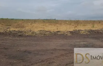 Fazenda com eucalipto à venda em brasilândia/mg: 14.600 hectares de oportunidades!