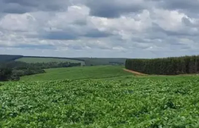 Fazenda com 71 alqueires à venda em bauru-sp: ideal para investimento agropecuário