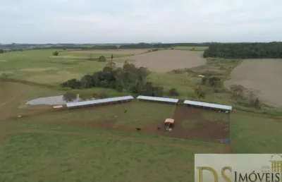 Fazenda com 58,5 alqueires em pereiras/sp: casa histórica, galpão de 500m², estrutura completa e potencial de negócio por r$16.500.000,00.