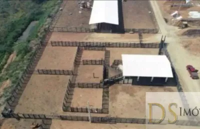Fazenda com sistema de confinamento à venda em caçapava-sp - 105 alqueires - imperdível!