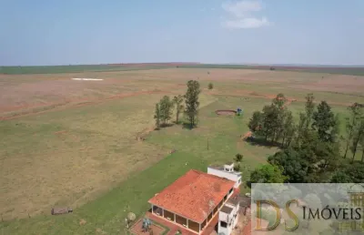 Fazenda de 393 alqueires em presidente prudente/sp: oportunidade única de investimento!