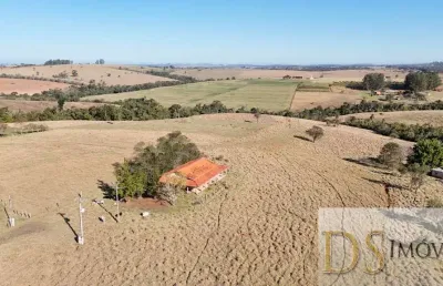 Excelente sítio à venda em itapetininga/sp ? 16,5 alqueires, pasto formado, ribeirão, poço, casa avarandada e ótima localização