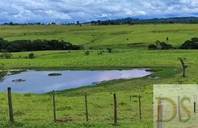 Excelente sítio à venda em itapetininga/sp ? 12,19 alqueires, pasto formado, solo vermelho, hidrografia e gado incluso