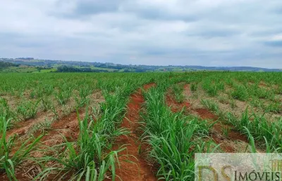 Excelente fazenda à venda em itapetininga/sp ? 42 alqueires, cana própria, solo fértil, hidrografia e ótima localização