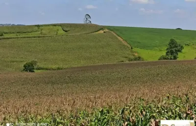 Fazenda à venda na rua cassiano vieira, 12, centro, são miguel arcanjo por r$ 7.500.000