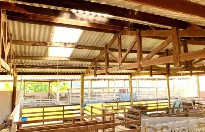 Chácara / sítio à venda na sarapuí, centro, sarapuí por r$ 10.000.000