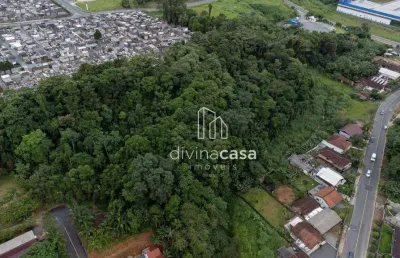 Terreno à venda, 16132 m² por r$ 1.400.000,00 - vila lenzi - jaraguá do sul/sc