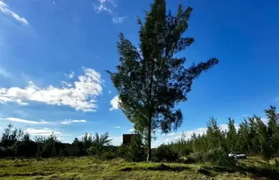 Terreno à venda na Nenhuma, Atlântida Sul (Distrito), Osório