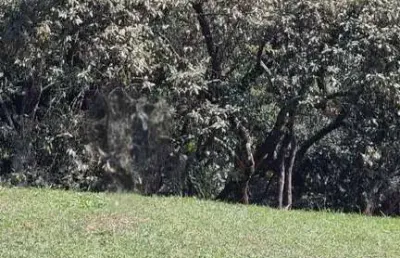 Terreno à venda na Rua Tupiniquins, Tarumã, Santana de Parnaíba