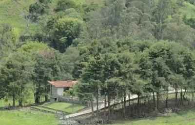 Oportunidade única: sítio com 5 lagos, casa sede, riacho e solo produtivo