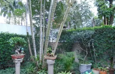 Casa com 3 quartos à venda no Alto da Boa Vista, São Paulo 