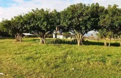 Chácara à venda, 94000 m² por r$ 2.800.000 - tremembé/sp