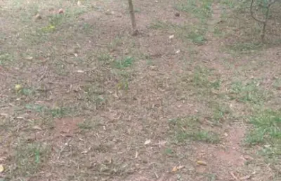 Terreno em condomínio fechado com 1.000 m2 em atibaia sp.