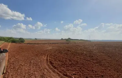 Fazenda para venda na região de porto ferreira-sp, com 90 alqueires sendo 58 alqueires em cana arrendada, aproveitamento 76%, boa de agua e benfeitori